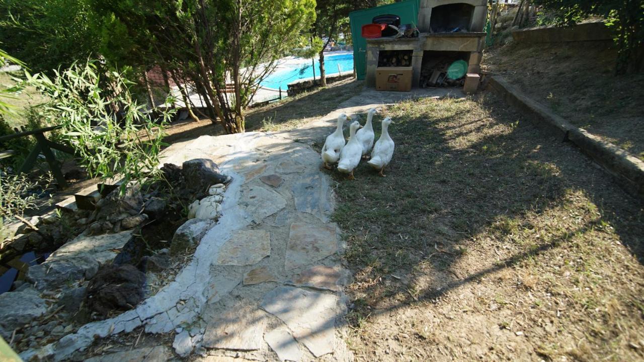 Castle Nolana Hotel Geredeli Exterior photo
